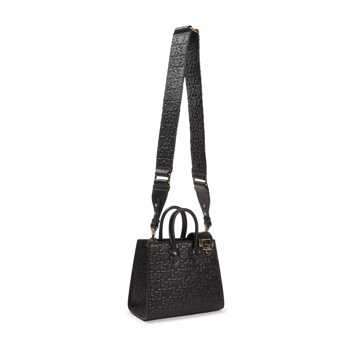 The Temitope D Mini Tote — with strap