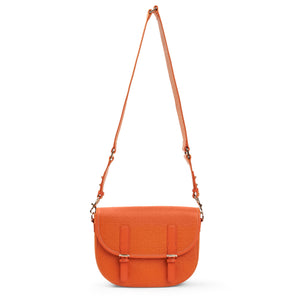 The Orange Bundle